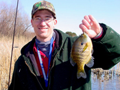 Bluegill Matt Mattson